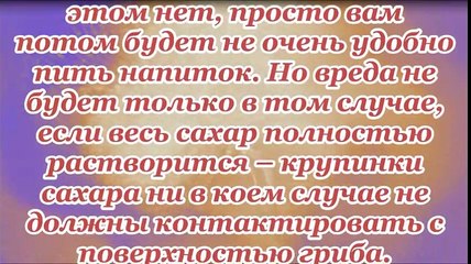 Правильный уход за чайным грибом