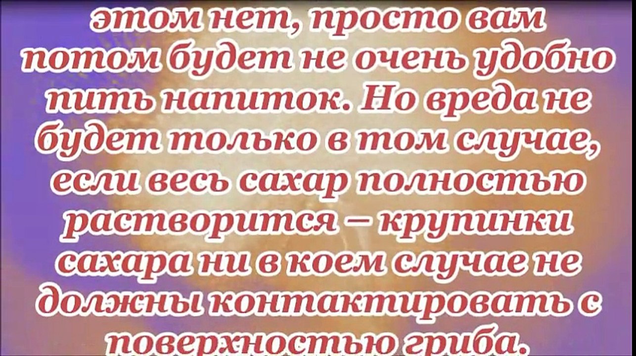 Правильный уход за чайным грибом