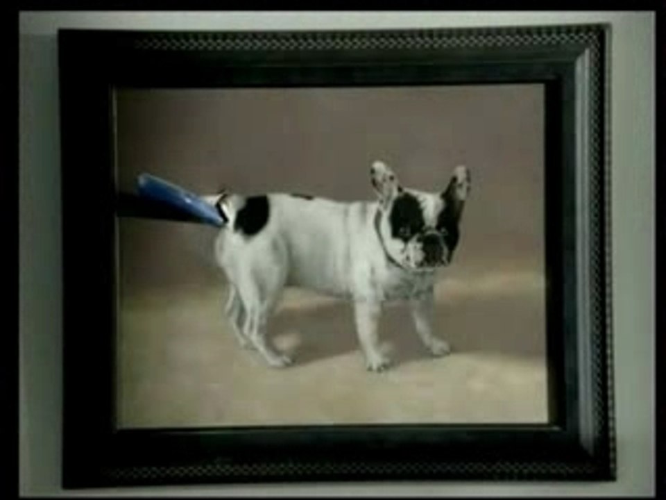 Ingenio Publicité pour tefal