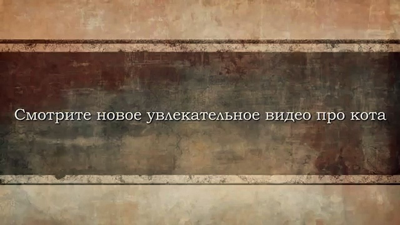Кот. завис