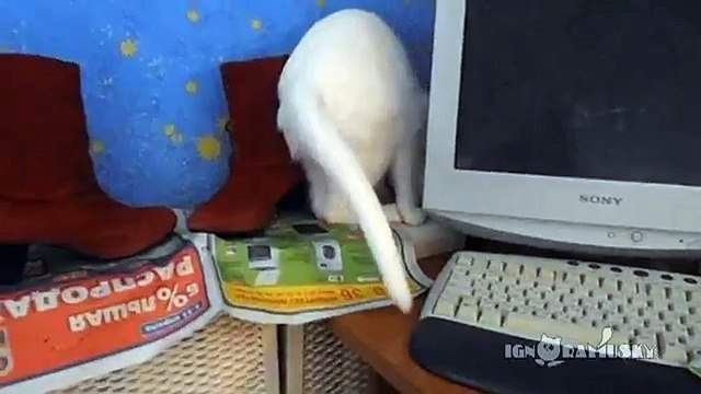 Uncomfy sleeping pose. Неудобная поза для сна