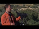 Hunting Bighorn Sheep in New Mexico