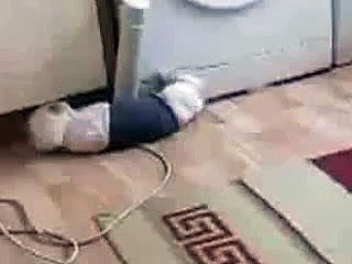 Вы такое видели! Пьяный кот