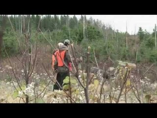 Hunting Duck in Quebec