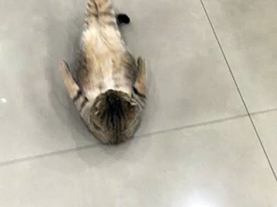 Exhausting Sit Up Practice