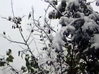 ankara Bağlum demirdöküm kombi servisi - 0312-279 15 16,