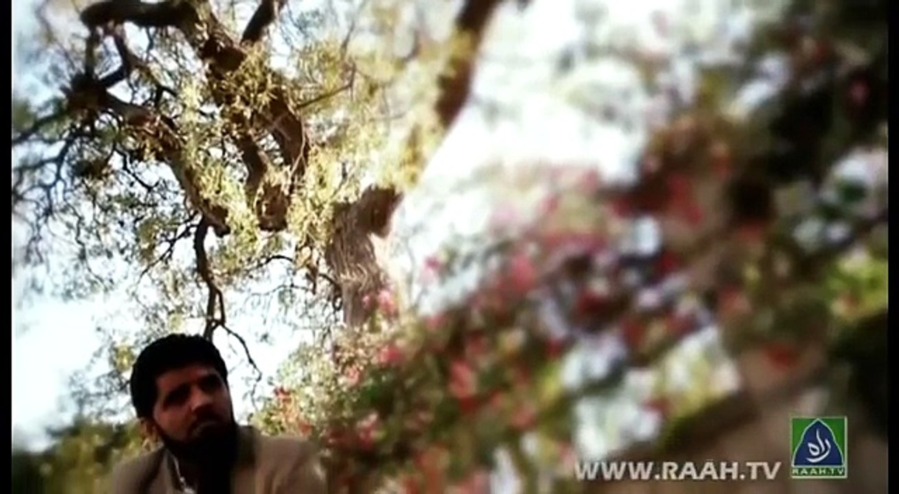 Beautiful naat urdu | Main Apnay Nabi Key Kuchen Main Chalta Hi Gya by Syed Noman Shah Bukhari