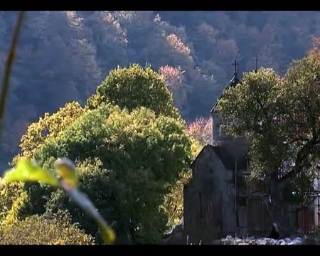 Армения. Ящерицы-амазонки. Armenia. Lizards-amazons