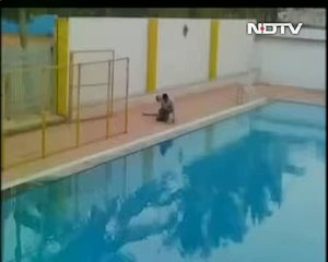 Spotted- Leopard strolling around Bengaluru school on Sunday