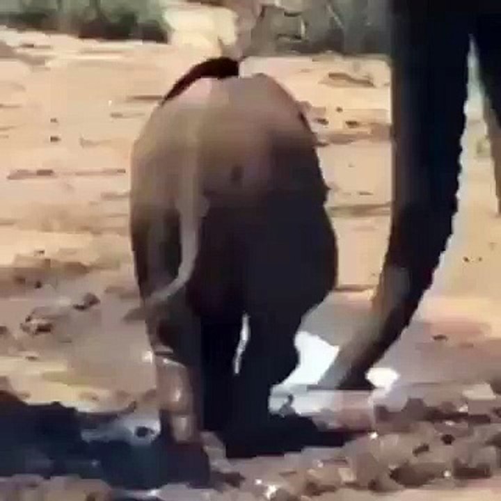 14 Şubat'ta sabah uyandığımda ben