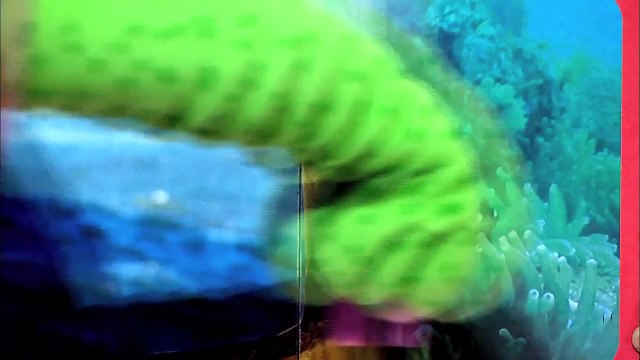 Мультики для самых маленьких: Что это, Мойа? Развивающий мультик, 21 серия. Подводный мир.