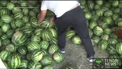 Поющий продавец арбузов из Казахстана взорвал интернет