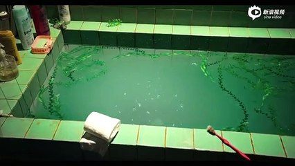 [ENG CC] Stephen Chow "The Mermaid" Trailer (1)