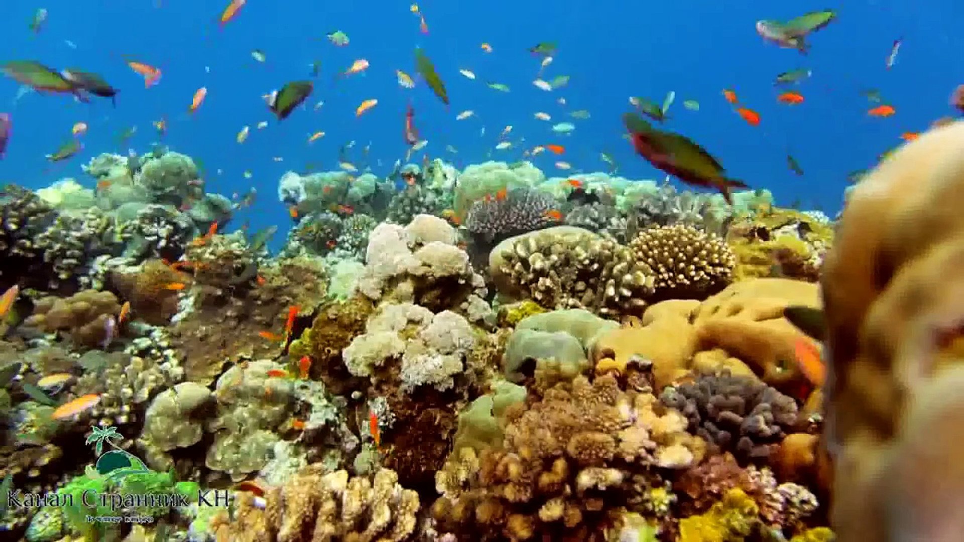 ⁣Чудеса Африки- Подводный курорт Manta Resort- остров Пемба Танзания