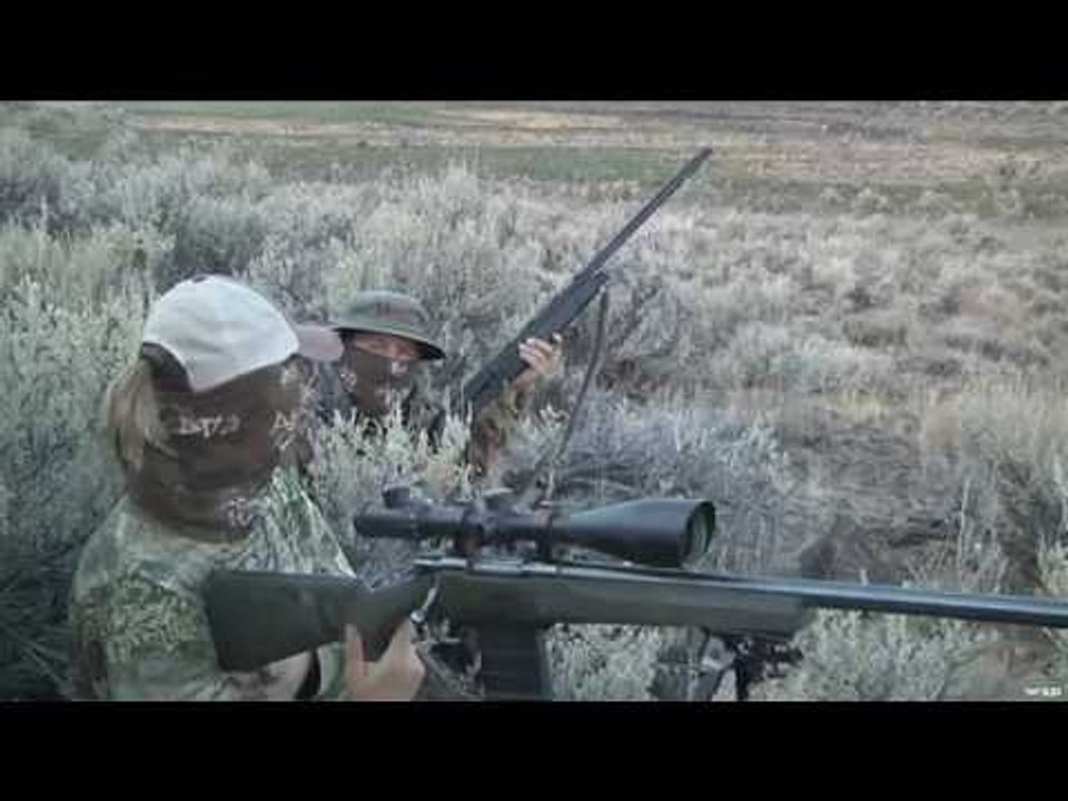 Hunting Wild Coyote Part 2