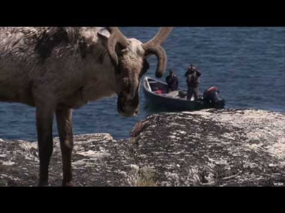 Arctic Fly Fishing