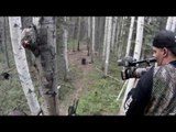 Hunting Black Bear in Alberta and Ontario