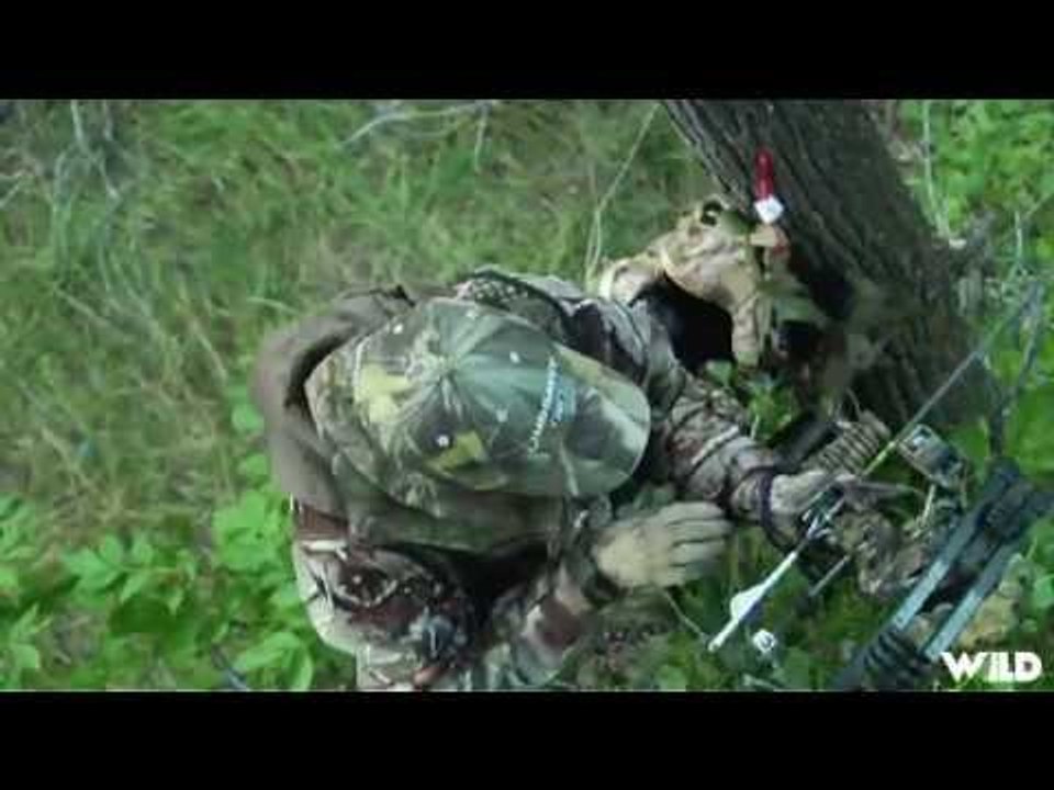 Hunting Mule Deer