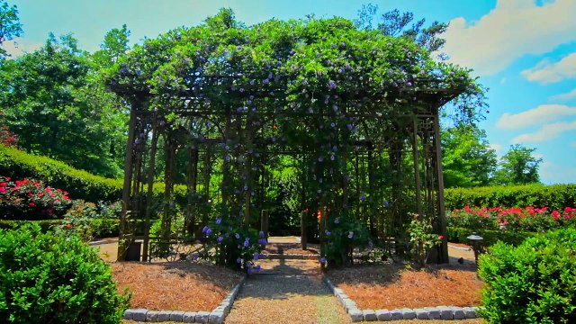 Самый неотразимый особняк в Атланте, штат Джорджия, США