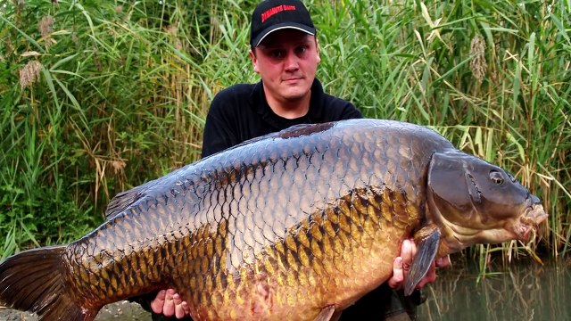 ТОП-5 САМЫХ ГИГАНТСКИХ ПРЕСНОВОДНЫХ РЫБ В МИРЕ