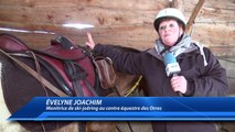 D!CI TV : A la découverte du ski-joëring