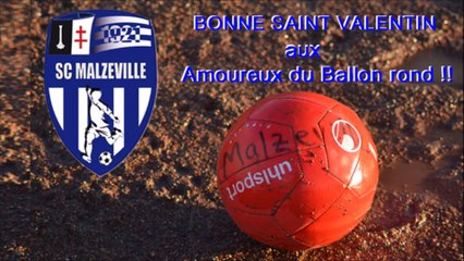 BONNE SAINT VALENTIN AUX AMOUREUX DU BALLON ROND