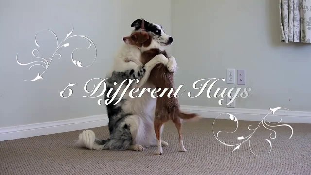 5 câlins différents pour a St. Valentin