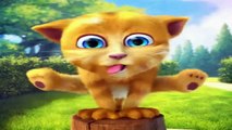 Funny cats videos talking 2016 - Cartoon for children babies