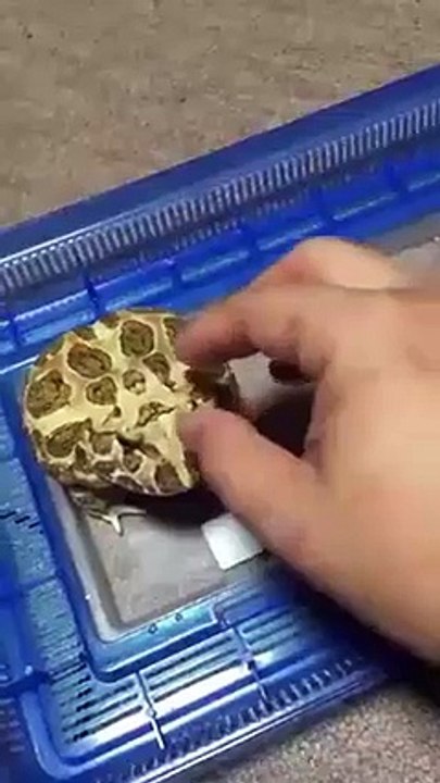 Don't Touch Me !