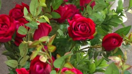 Gazze'de 14 Şubat Sevgililer Günü