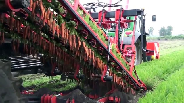 La vidéo la plus satisfaisante du monde