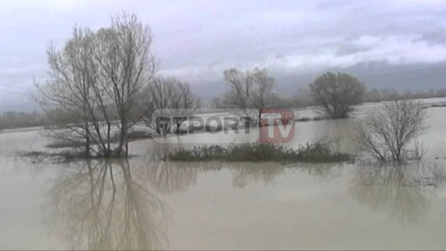 Report TV - Lumi Ishëm del nga shtrati 150 hektar tokë përmbyten nga uji