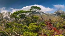 Восхитительная природа Новой Зеландии (4К, Timelapse)
