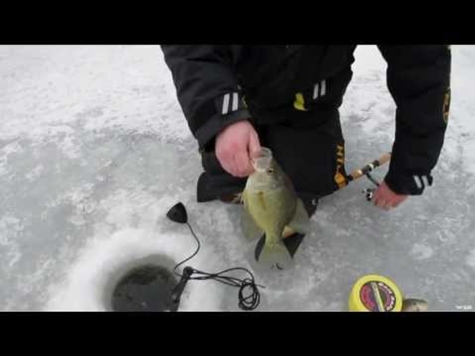 Fishing For Large Crappies