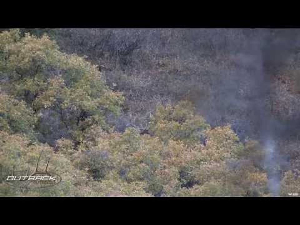 Hunting Colorado Bull Elk With Graylen Goff
