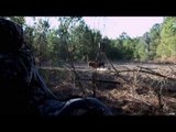 Hunting Wild Boar with Bow in Saskatchewan