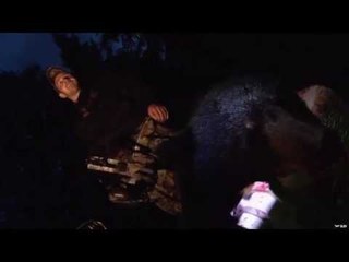 Hunting Bear In Ontario Junkyard