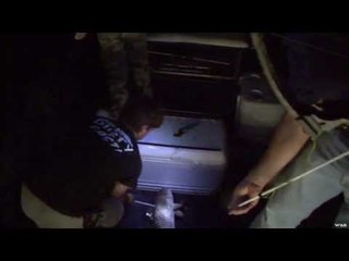 Fishing Alligator Gar with Bows In Florida