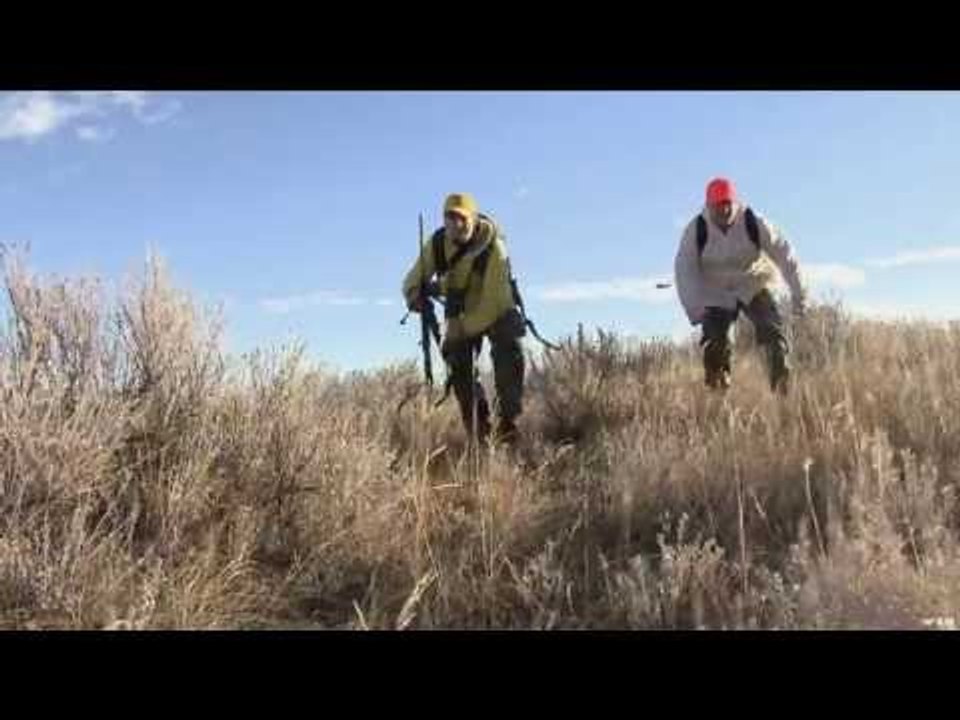 Hunting Whitetail in Utah