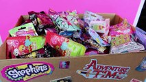 Giant Surprise Toys Blind Bag Box 3_ Shopkins, Tsum Tsum, Hello Kitty, Disney Parks, Toy Story