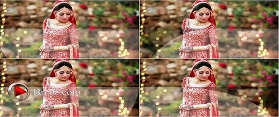 Sharmila Farooqi Wedding Pictures
