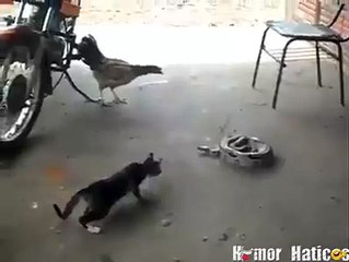 Lmout dyal da7k Maroc 2016