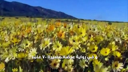 لمن يبحث عن التوبه