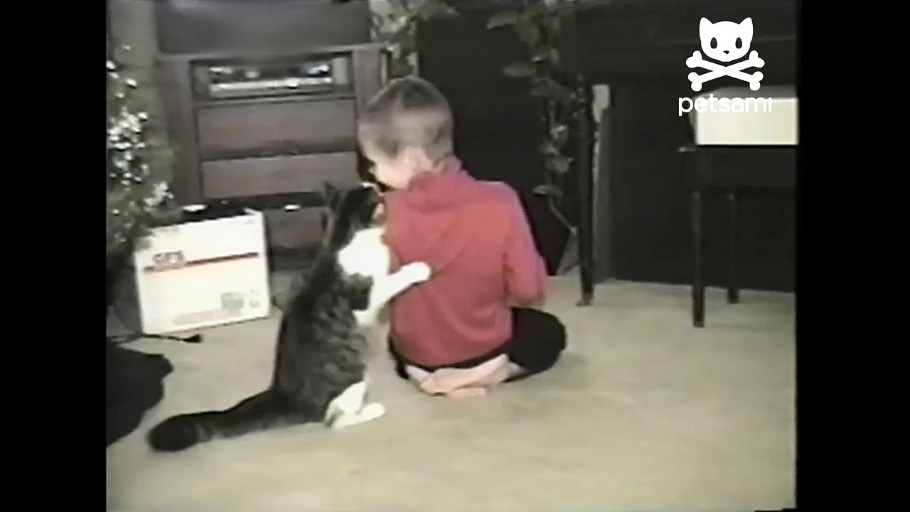 Cat wrestles boy to the ground