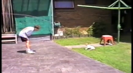 Cats and Dogs are the best Babysitters Compilation