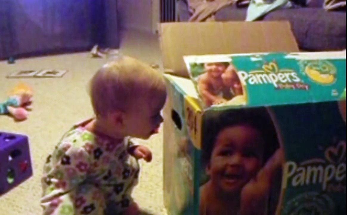 Cats vs. Kids