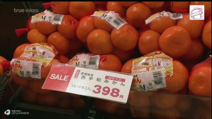 สุโค่ย ! เจแปน ปี [ 2 ] #15