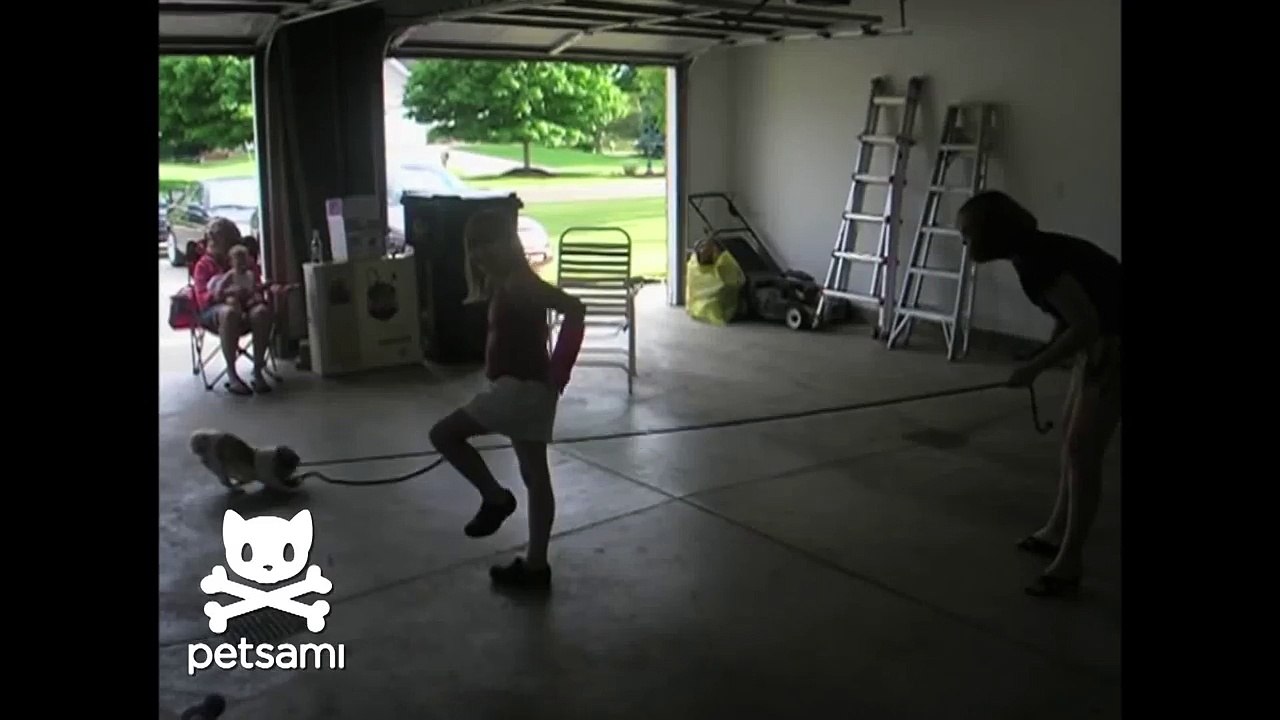 Dog does double dutch jump rope