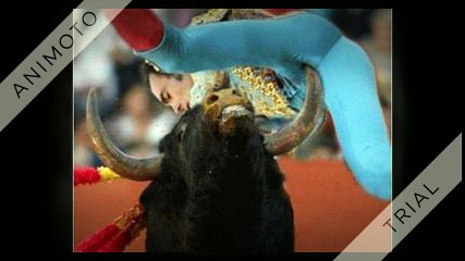 10 Fotos incríveis tiradas no momento perfeito