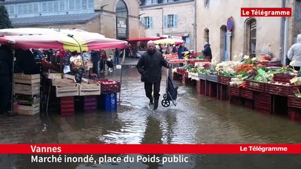 Bretagne. Le zapping du week-end